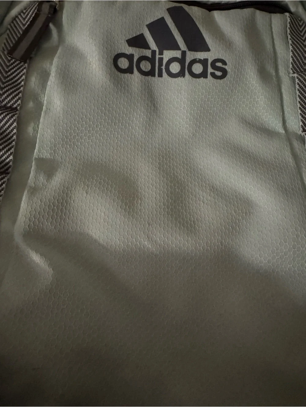 adidas Men's Mint and Black Backpack